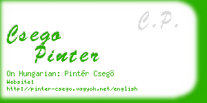 csego pinter business card