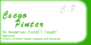 csego pinter business card